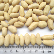 Kernels de amendoim de alta qualidade de nova colheita com pele vermelha